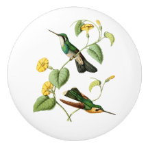 Colibri Throated blanc de gemme de montagne