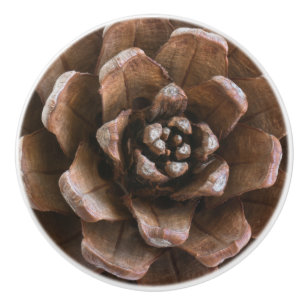 Bouton De Porte En Céramique Cône de pin