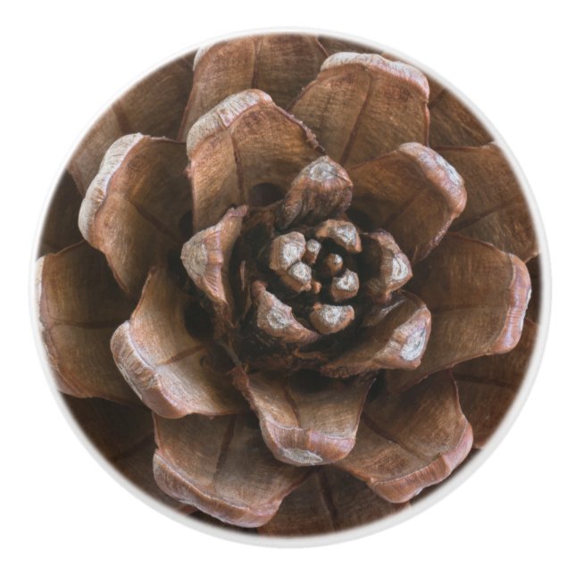 Bouton De Porte En Céramique Cône de pin (Devant)