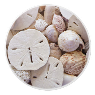 Bouton De Porte En Céramique Coques et dollar de sable