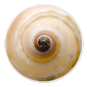 Bouton De Porte En Céramique Coquillage