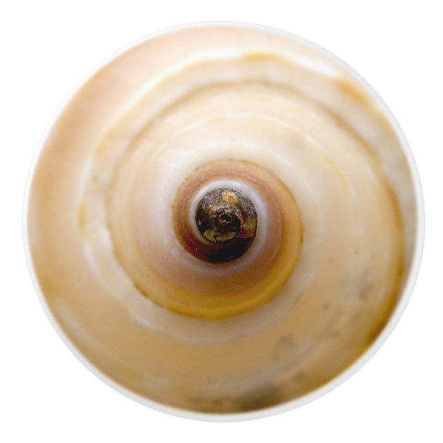 Bouton De Porte En Céramique Coquillage (Devant)