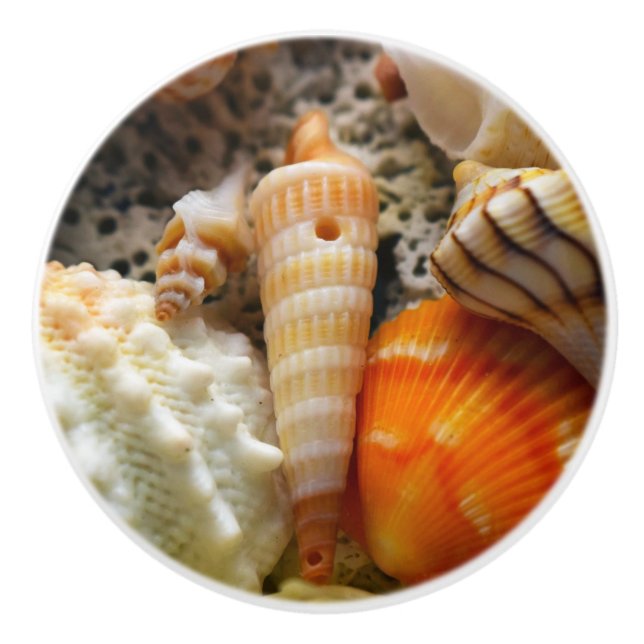 Bouton De Porte En Céramique Coquillages Ceramic Knob (Devant)
