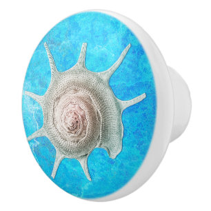 Bouton De Porte En Céramique Coquille spirale "Beach Life"