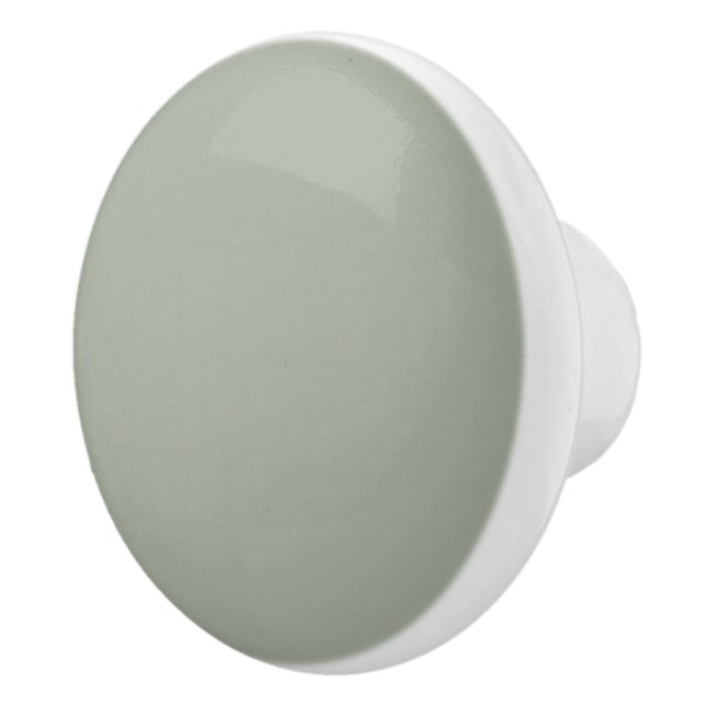 Bouton De Porte En Céramique Couleur solide Désert Sage (Droite)