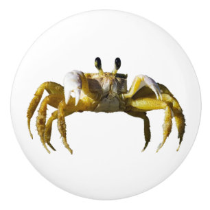 Bouton De Porte En Céramique Crabe