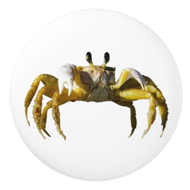 Bouton De Porte En Céramique Crabe (Devant)
