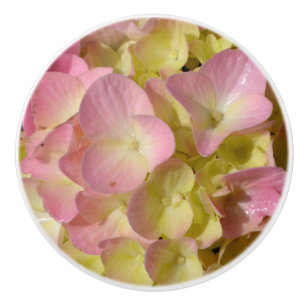 Bouton De Porte En Céramique Crème rose Hydrangeas jaune rose vert floral