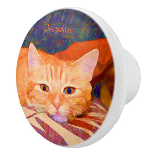 Bouton De Porte En Céramique Cute Bright Orange Tabby Cat