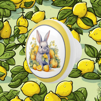 Bouton De Porte En Céramique Cute citron lapin amoureux cuisine