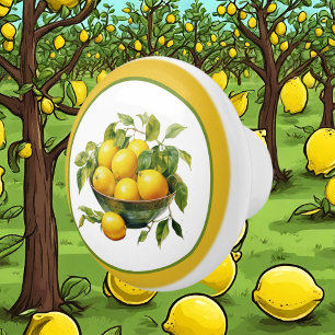 Bouton De Porte En Céramique Cute cuisine aux amateurs de citron