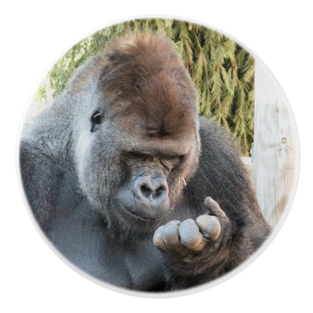 BOUTON DE PORTE EN CÉRAMIQUE CUTE GORILLA (Devant)