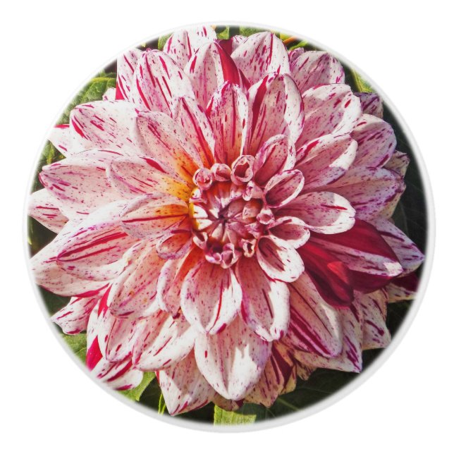 BOUTON DE PORTE EN CÉRAMIQUE DAHLIA ROUGE ET BLANC (Devant)