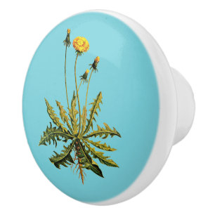 Bouton De Porte En Céramique Dandelion