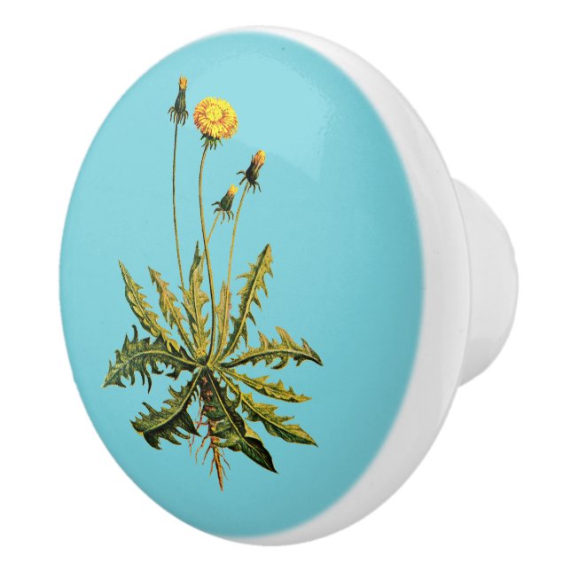 Bouton De Porte En Céramique Dandelion (Droite)