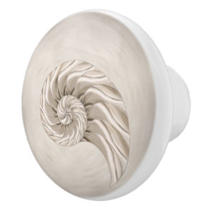 Bouton De Porte En Céramique Dessin de coquille Nautilus