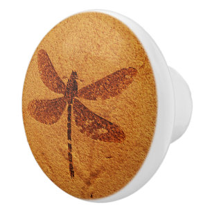 Bouton De Porte En Céramique Dragonfly fossile