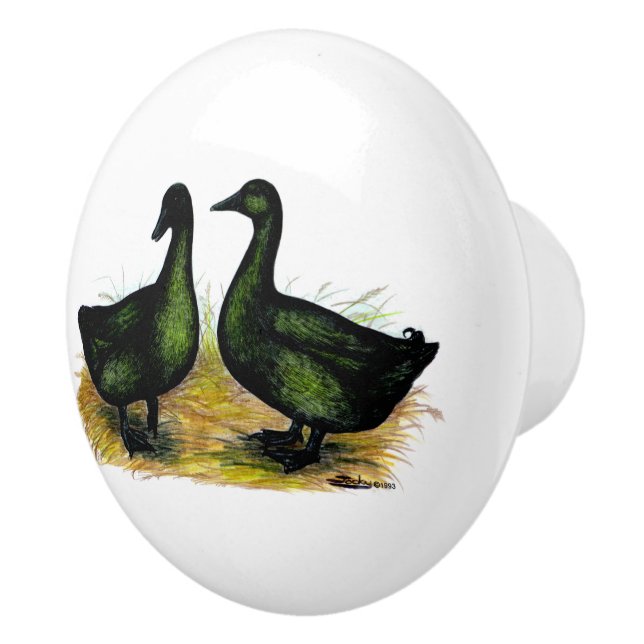 Bouton De Porte En Céramique Ducks : Cayuga Pair (Droite)
