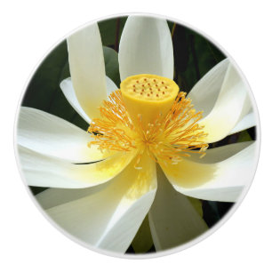 Bouton De Porte En Céramique Eau Lily Ceramic Knob