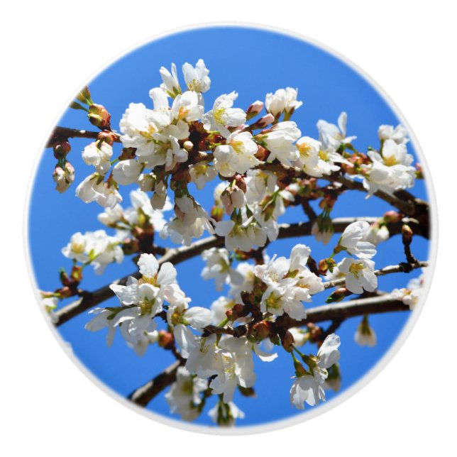 Bouton De Porte En Céramique Élégantes fleurs blanches (Devant)