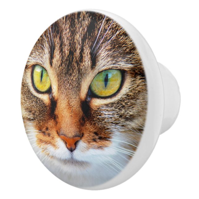 Bouton De Porte En Céramique Face de chat (Droite)