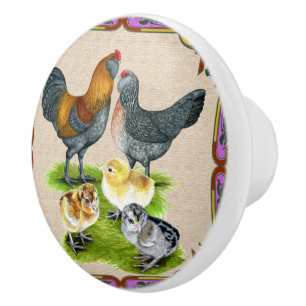 Bouton De Porte En Céramique Famille Ameraucana encadrée