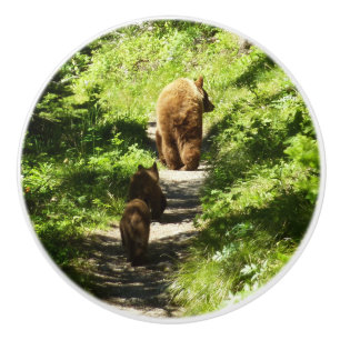 Bouton De Porte En Céramique Famille d'ours Brown