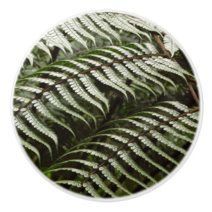 Bouton De Porte En Céramique Fern Fronds II Dark Green Nature