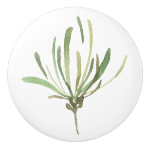 Bouton De Porte En Céramique Feuille botanique verte simple