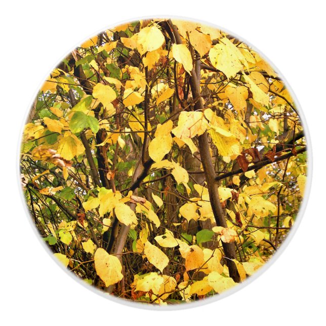 BOUTON DE PORTE EN CÉRAMIQUE FEUILLES D'AUTOMNE JAUNE (Devant)