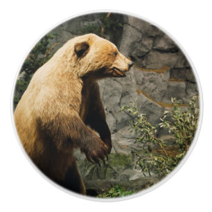 Bouton De Porte En Céramique Fière Ours