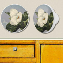 Fleur de trille blanc dans le style Temple de Flor