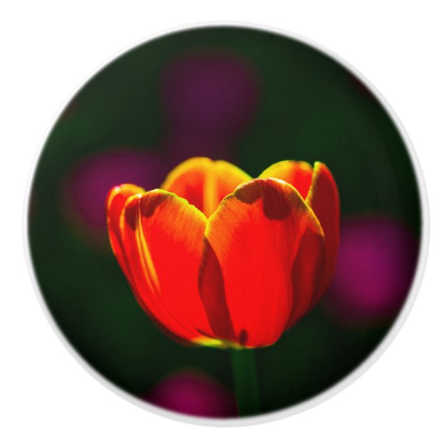 Bouton De Porte En Céramique Fleur de tulipe rouge (Devant)