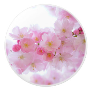 Bouton De Porte En Céramique Fleur japonaise de cerisier