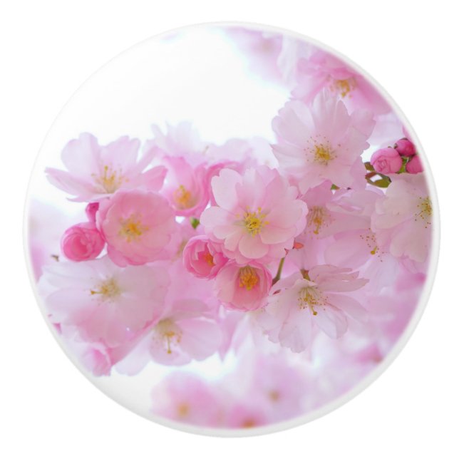Bouton De Porte En Céramique Fleur japonaise de cerisier (Devant)