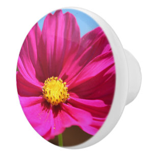 Bouton De Porte En Céramique Fleur Magenta