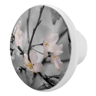 Bouton De Porte En Céramique Fleurs de cerisiers roses