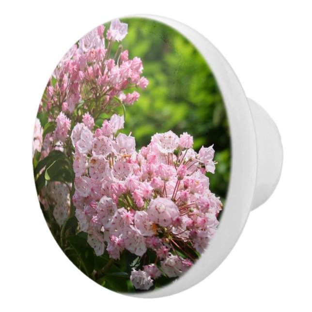 Bouton De Porte En Céramique Fleurs de lauriers roses (Droite)