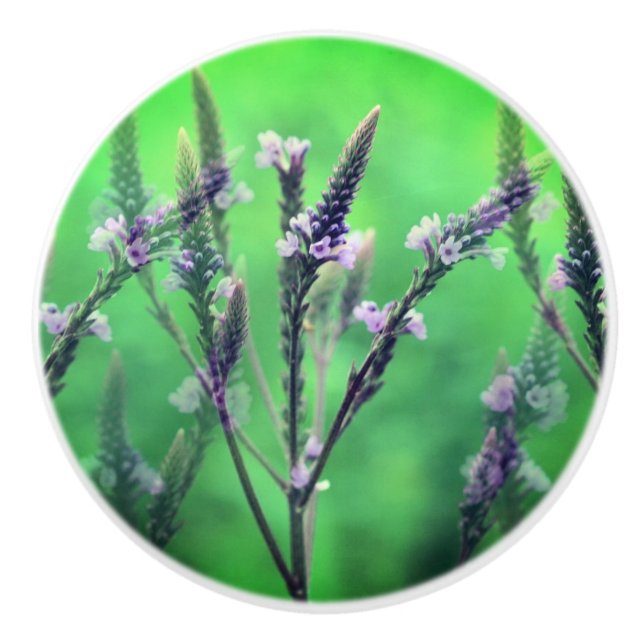 Bouton De Porte En Céramique Fleurs de Vervain sauvages (Devant)