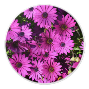 Bouton De Porte En Céramique Fleurs d'ostéospermum pourpres