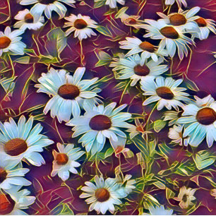 BOUTON DE PORTE EN CÉRAMIQUE FLEURS DU JOUR