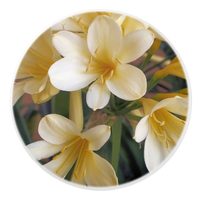 BOUTON DE PORTE EN CÉRAMIQUE FLEURS JAUNES (Devant)