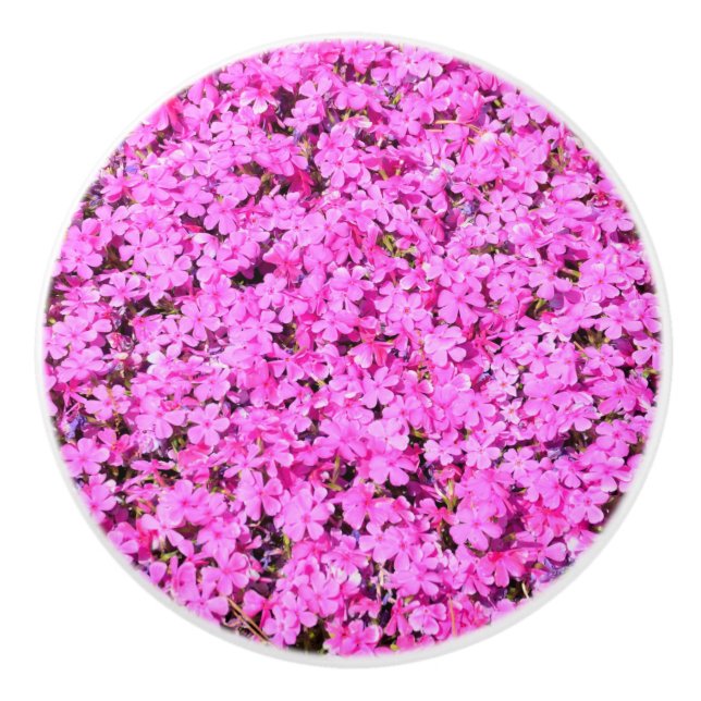 Bouton De Porte En Céramique Floral rose vibre (Devant)