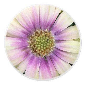 Bouton De Porte En Céramique Flower Knob crème violette