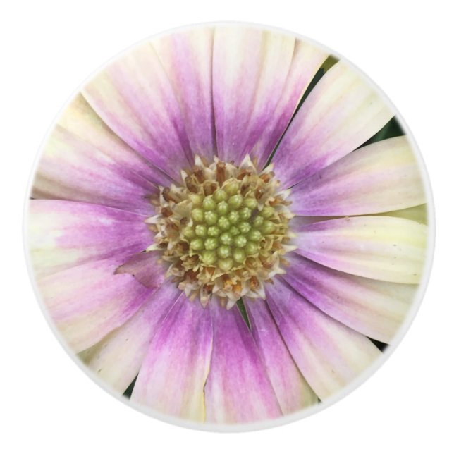 Bouton De Porte En Céramique Flower Knob crème violette (Devant)