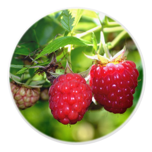 Bouton De Porte En Céramique Framboise (Devant)