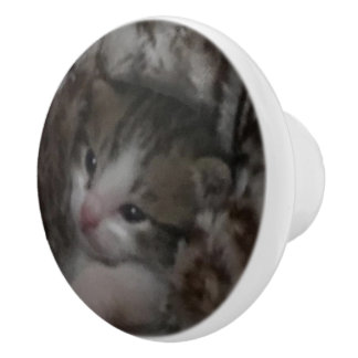 Bouton De Porte En Céramique Freddie