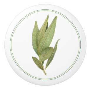 Bouton De Porte En Céramique FRESH BAY FEUILLE Ceramic Knob