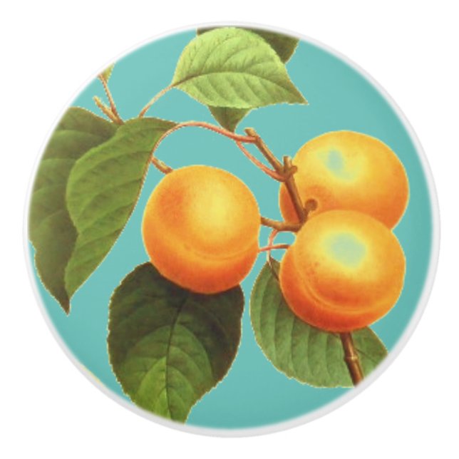 Bouton De Porte En Céramique Fruit de pêche (Devant)
