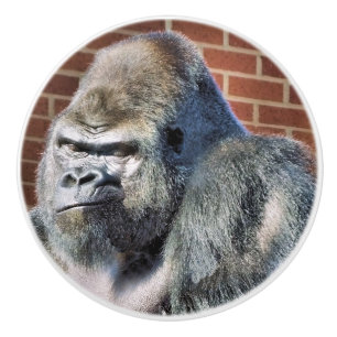 BOUTON DE PORTE EN CÉRAMIQUE FUNNY GORILLA